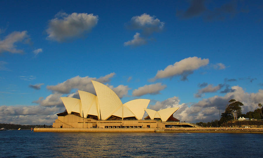 Sydney Opera House Photograph by Paul Thompson - Fine Art America