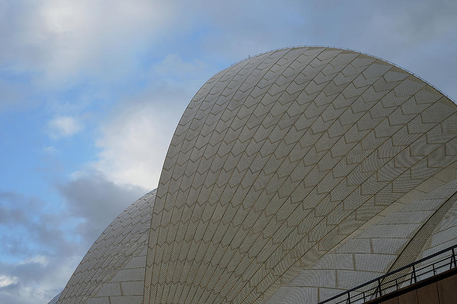 Sydney Opera House - Study 1 Photograph by Richard Reeve