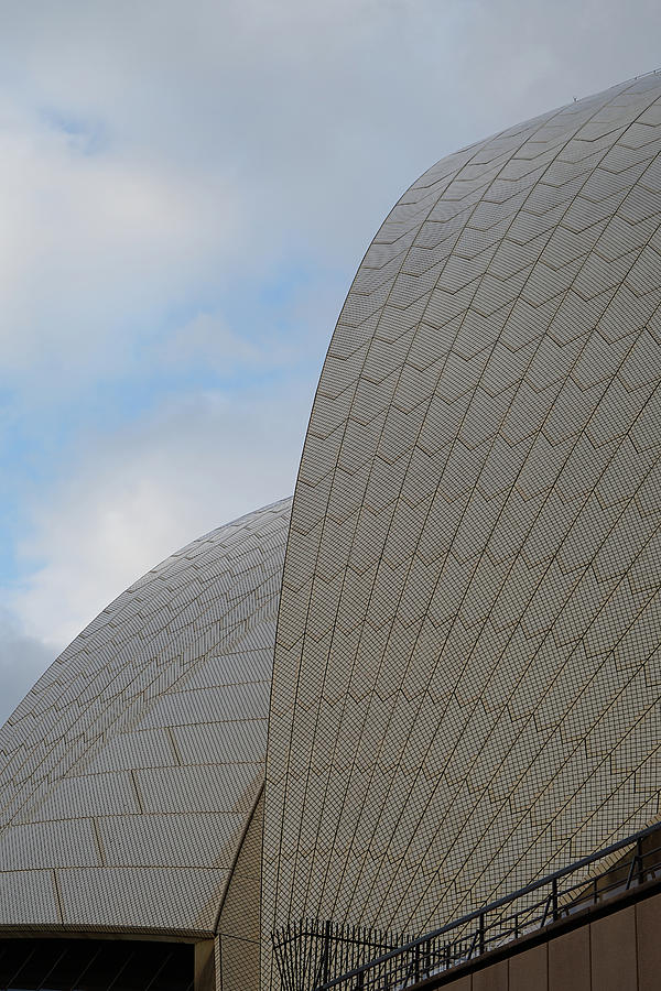 Sydney Opera House - Study 2 Photograph by Richard Reeve
