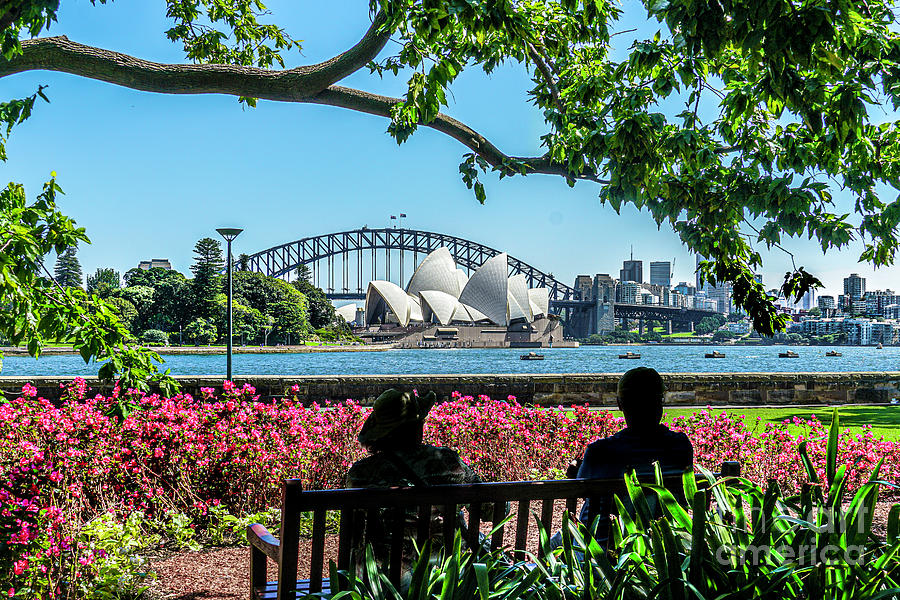 Sydney Views Photograph by David Meznarich