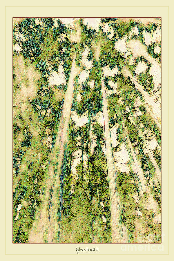 Sylvan Forest #2 Digital Art by Susan Parish