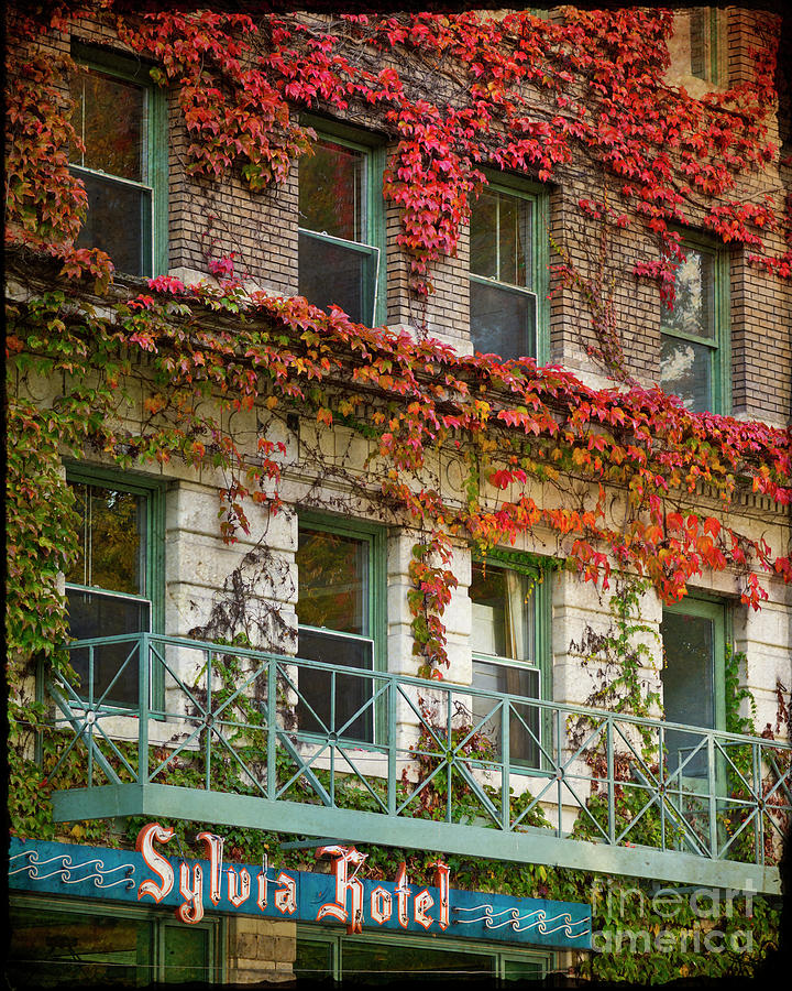 Sylvia Hotel in Autumn Photograph by Maria Janicki