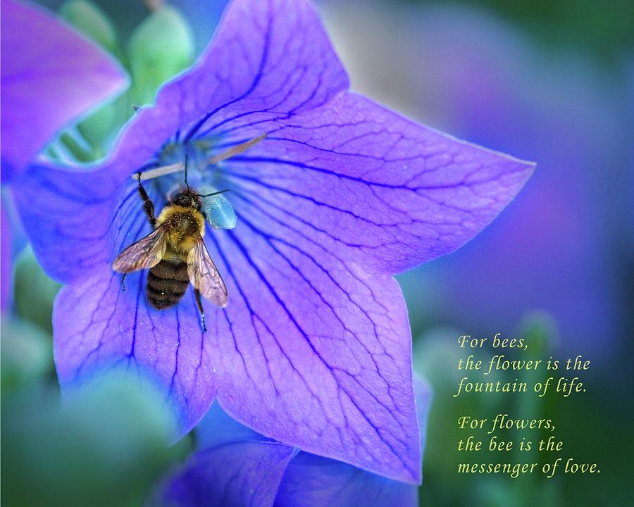 Inspirational Photograph - Symbiosis by Matthew Adelman Inspirational Photograph - Symbiosis by Matthew Adelman