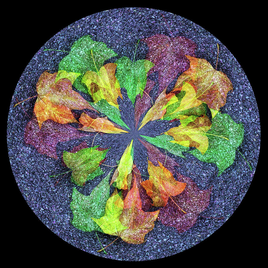 Symmetrical Autumn Leaf Mandala on Blue Textured Circular Background Photograph by Nikolyn McDonald