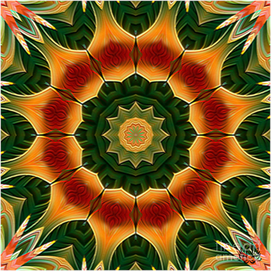 Symmetry 1093 Mandala Inspired Creation Digital Art