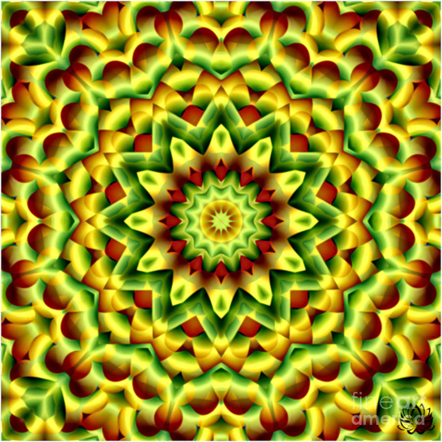 Symmetry 1124 Mandala Inspired Creation Digital Art