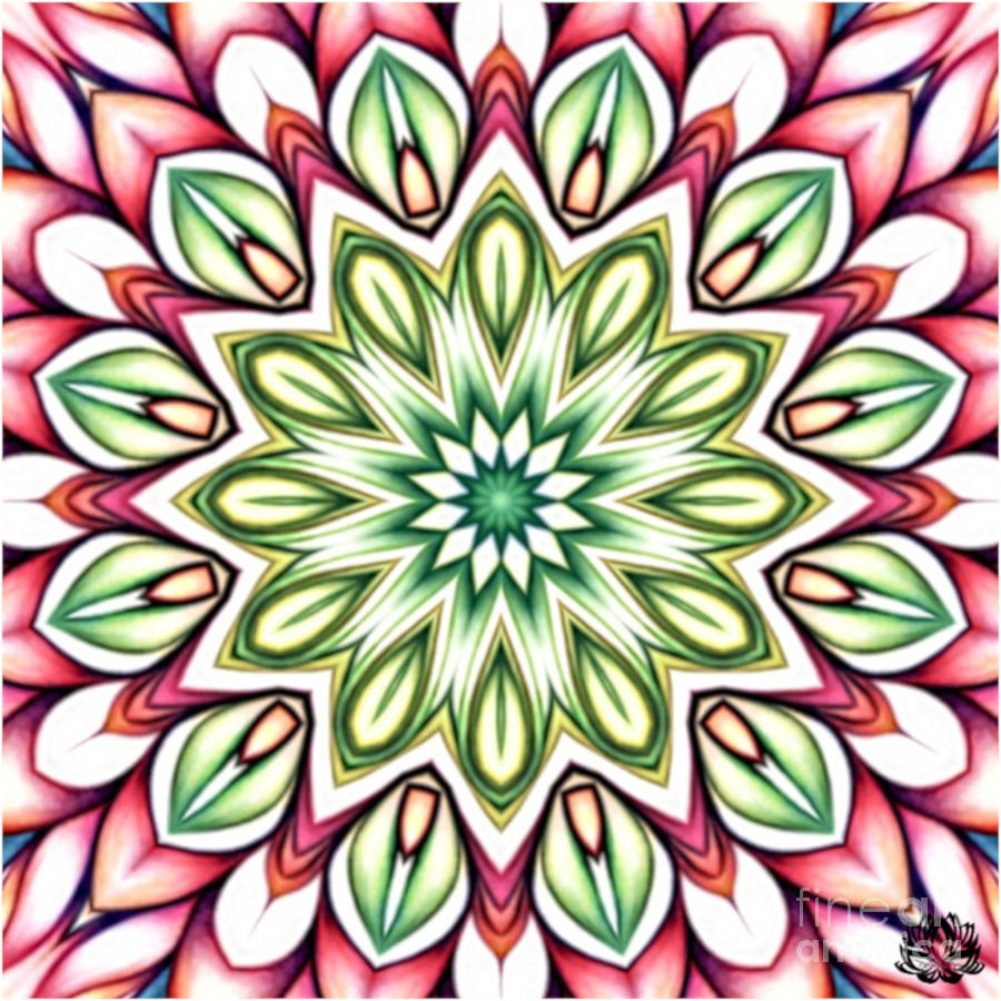 Symmetry 1127 Mandala Inspired Creation Digital Art