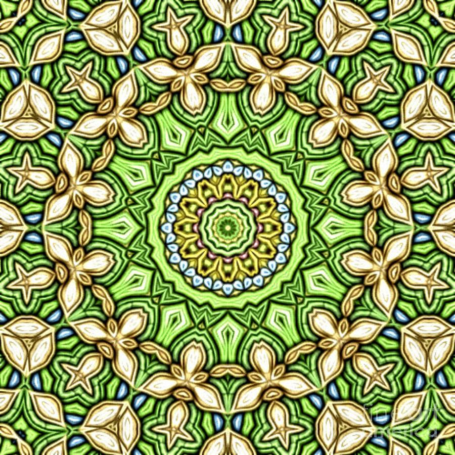 Symmetry 3010 Mandala Inspired Creation Digital Art