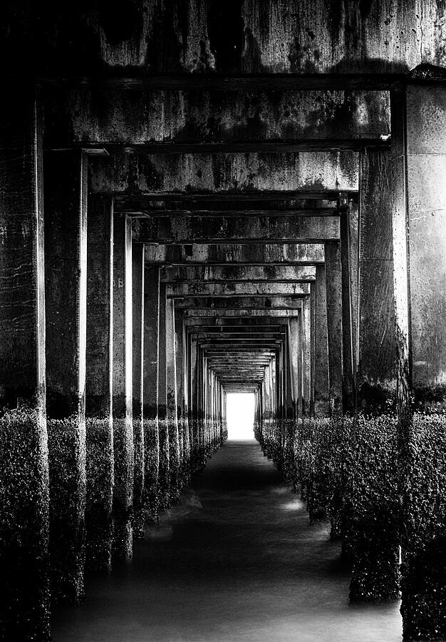 Symmetry and Light Photograph by Cate Franklyn Symmetry and Light Photograph by Cate Franklyn