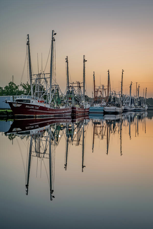 Symmetry and Sunrise in the Bayou Photograph by Brad Boland