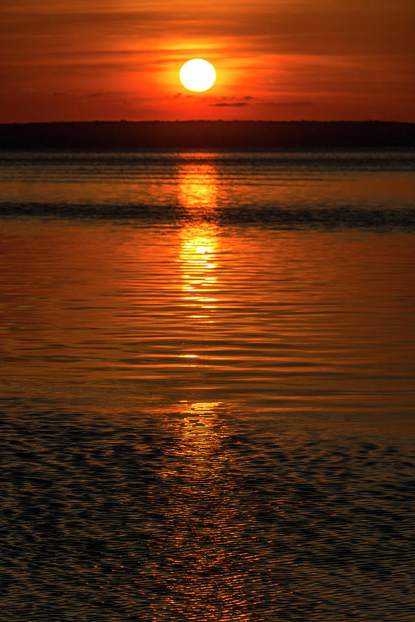 Symmetry Photograph by Ramon Menchaca - Fine Art America