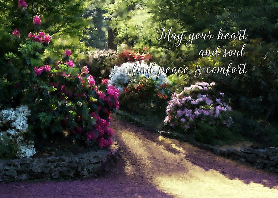 Sympathy Card - Garden Path Digital Art by Sherrie Triest