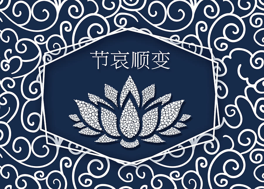 Sympathy Mandarin Chinese Waterlily Digital Art by Doreen Erhardt