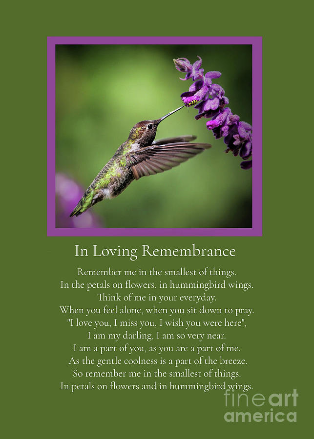 Sympathy Spiritual Memorial Tribute with Poem and Hummingbird Photograph by Stephanie Laird