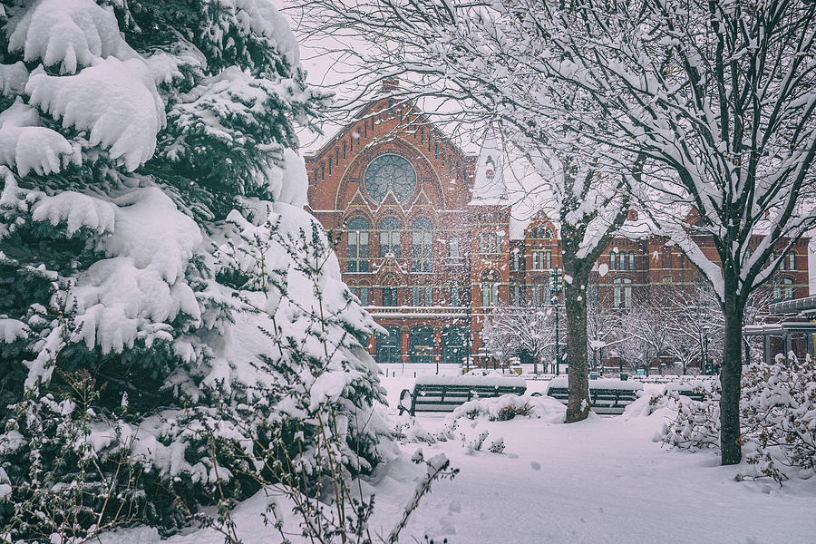 Symphony of Snow Photograph by Jon Reynolds