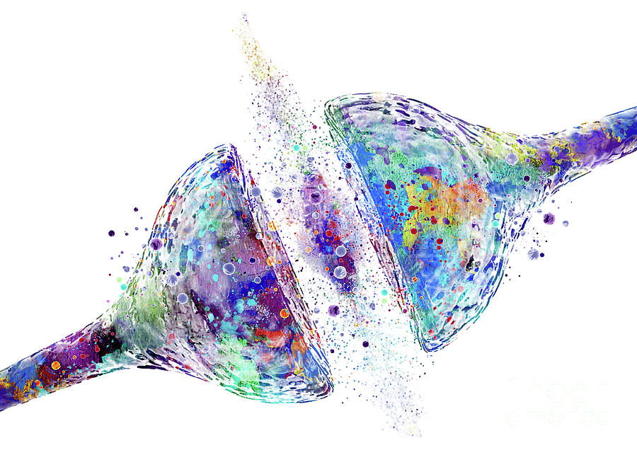 Neurology Digital Art - Synapse Receptor Art Colorful Blue Purple Gift Brain Nerve Cell Science Art Neuroscience Lovers Art by White Lotus