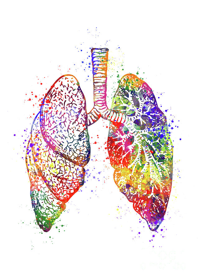 Lungs Digital Art - Lungs Anatomy Art Colorful Watercolor Gift Anatomical Decor by White Lotus