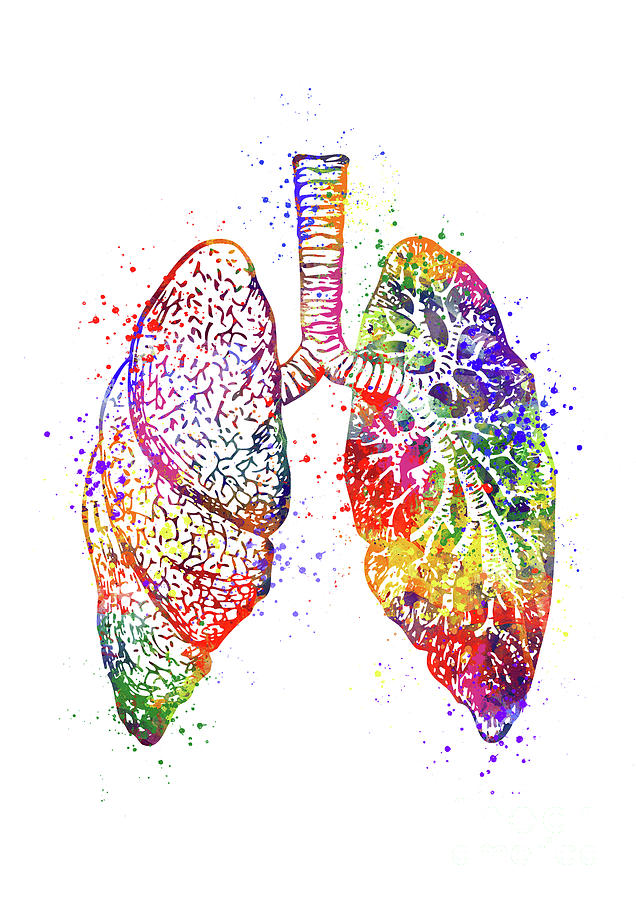 Lungs Anatomy Art Colorful Watercolor Gift Anatomical Decor Digital Art