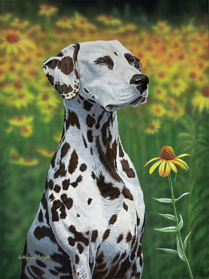 Syren - Dalmation Painting by Anthony J Padgett