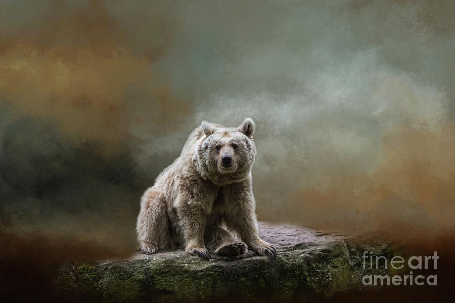 Wildlife Photograph - Syrian Brown Bear-4 by Eva Lechner