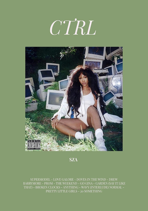 SZA CTRL Album Poster Painting by Smith Martin | Fine Art America