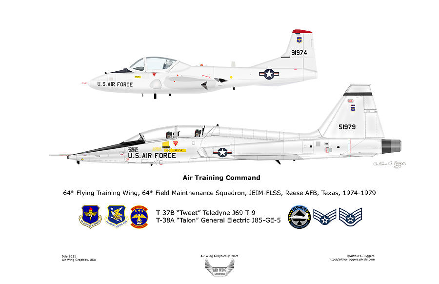 T-37 Tweet T-38 Talon Digital Art by Arthur Eggers