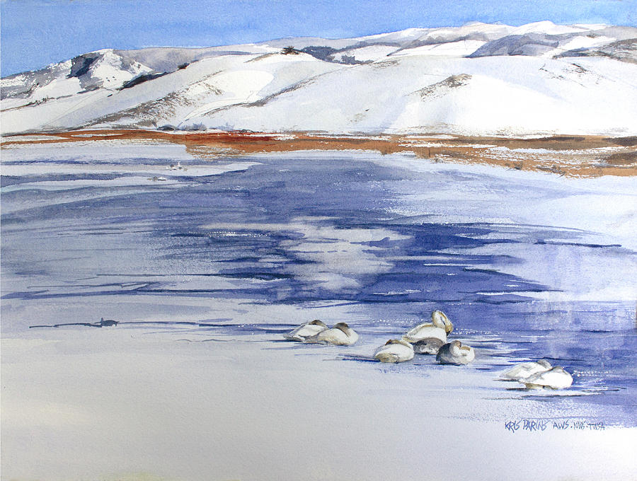 Wildlife Painting - Swans on Ice by Kris Parins