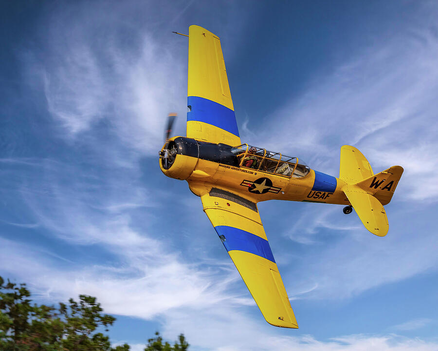 T-6 Trainer Photograph by Daniel Fleming T-6 Trainer Photograph by Daniel Fleming