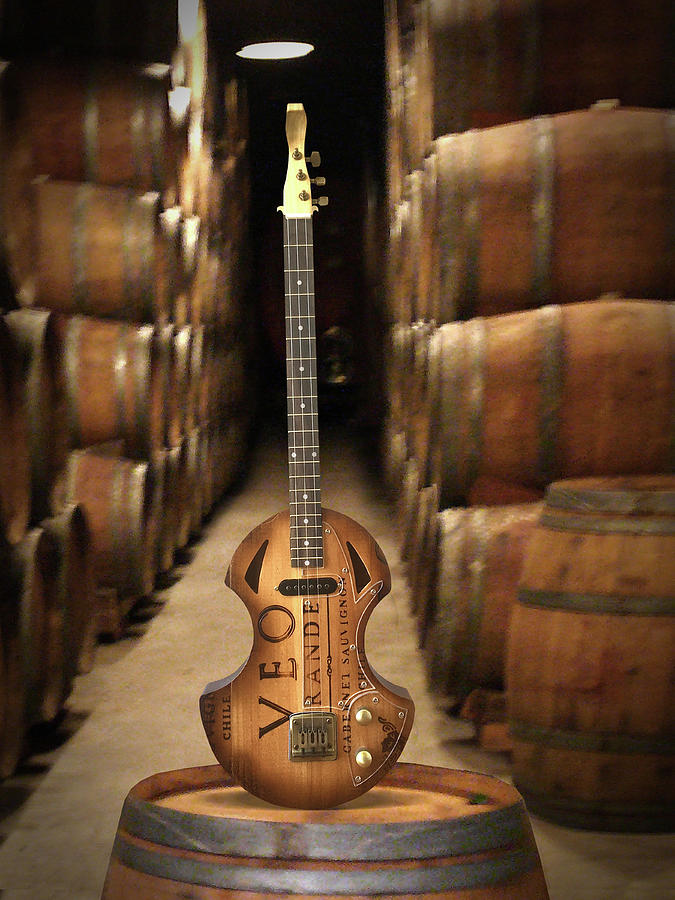 T A Special VEO Grande Wine 3 String Photograph by Mike McGlothlen