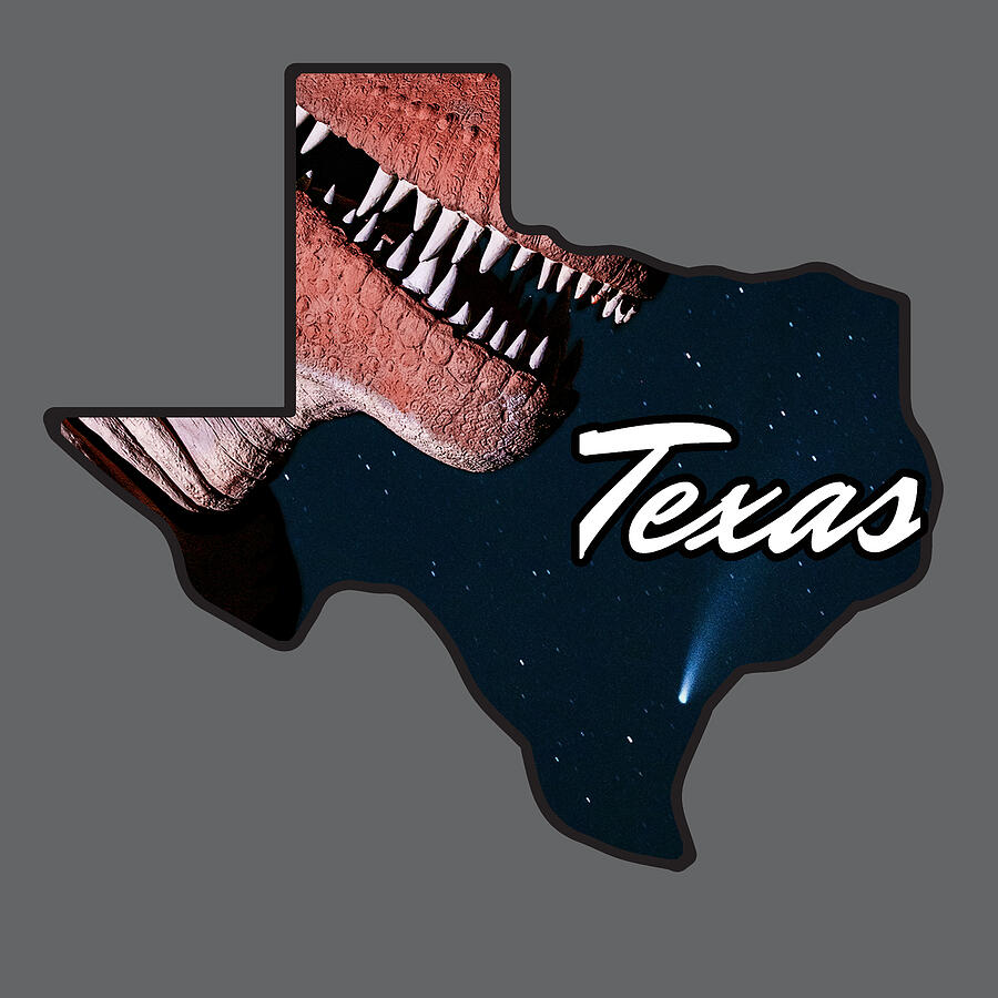 T-rex-as Com-et Photograph by KC Hulsman