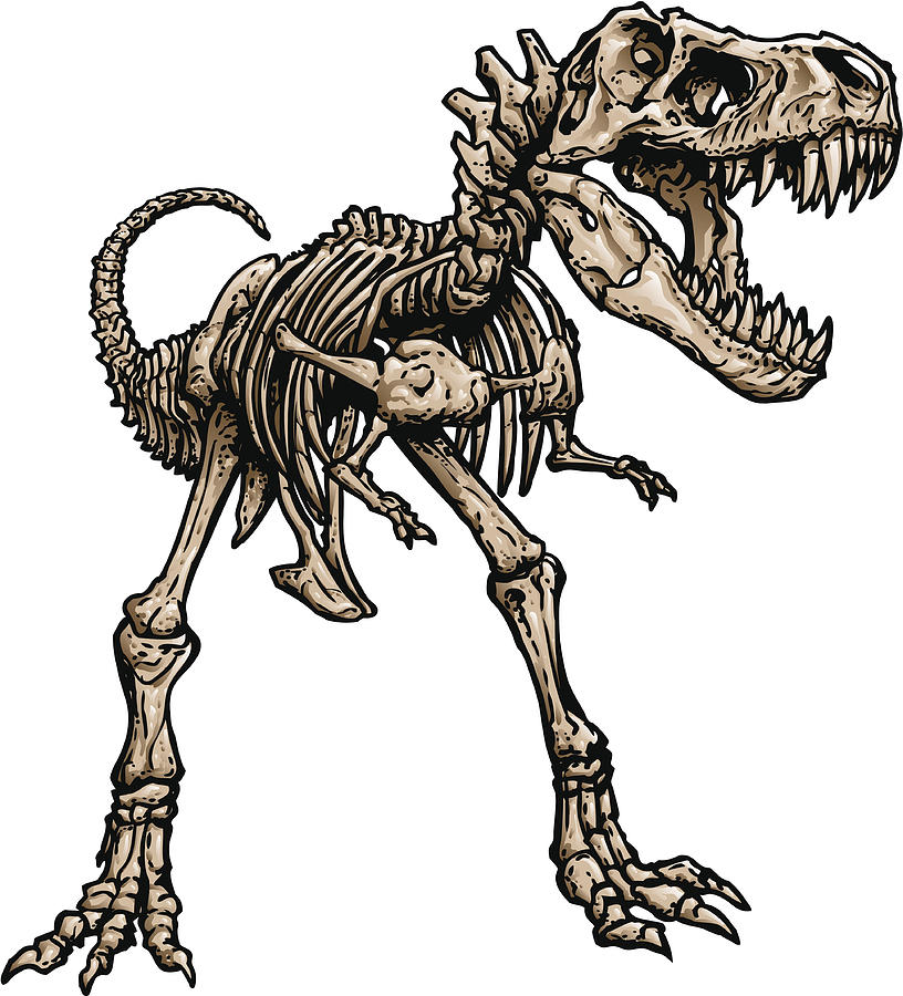 T Rex Skeleton Drawing by XonkArts