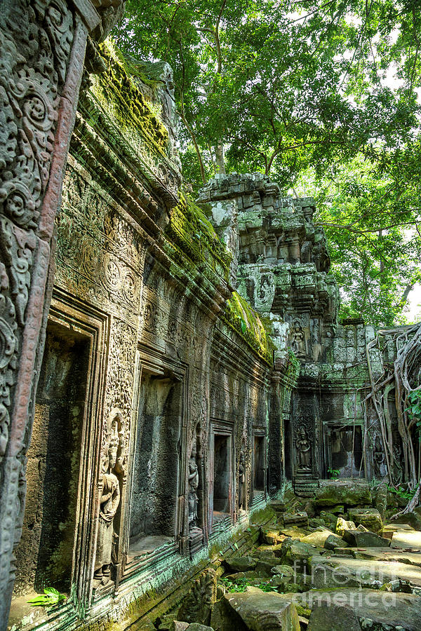 Ta Prohm in Angkor Wat, Siem Reap, Cambodia Photograph by Julia Hiebaum