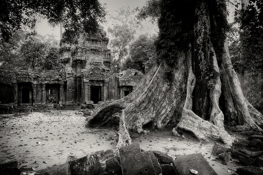 Ta Prohm Jungle Temple Ruins In Cambodia Photograph by Artur Bogacki