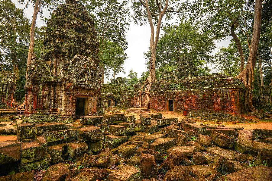 Ta Prohm, Siem Reap, Cambodia Photograph by Ashit Desai