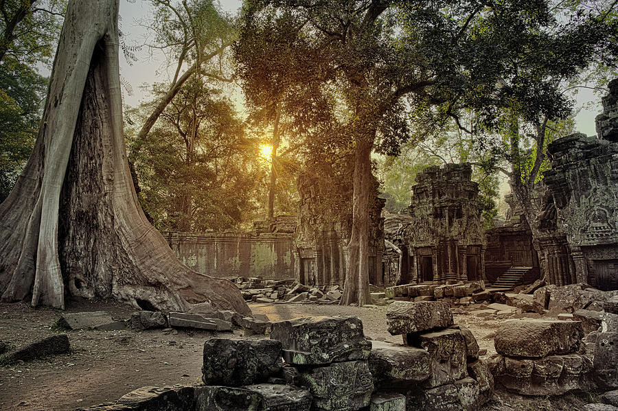 Ta Prohm temple in Angkor Wat Cambodia Photograph by Mikhail Kokhanchikov