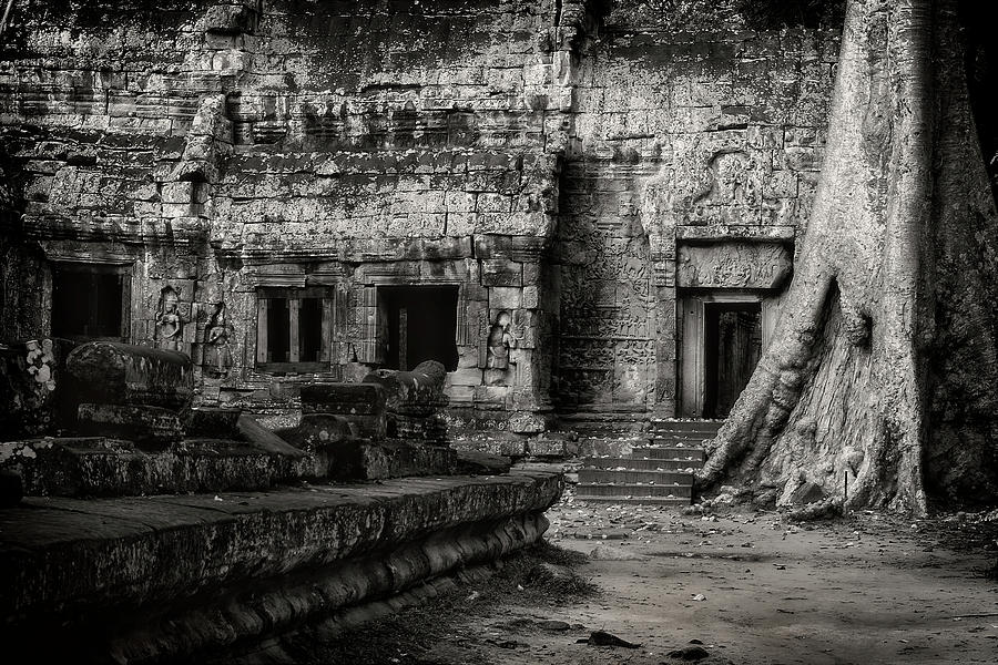 Ta Prohm Temple in Black and White Photograph by Artur Bogacki