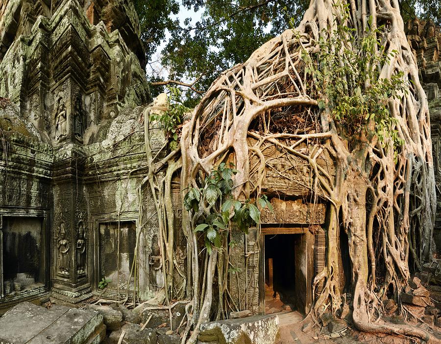 Ta Prohm Temple, Khmer Empire, Cambodia Photograph by Paul Biris