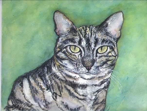 Tabby Cat II Painting by Alison Steiner