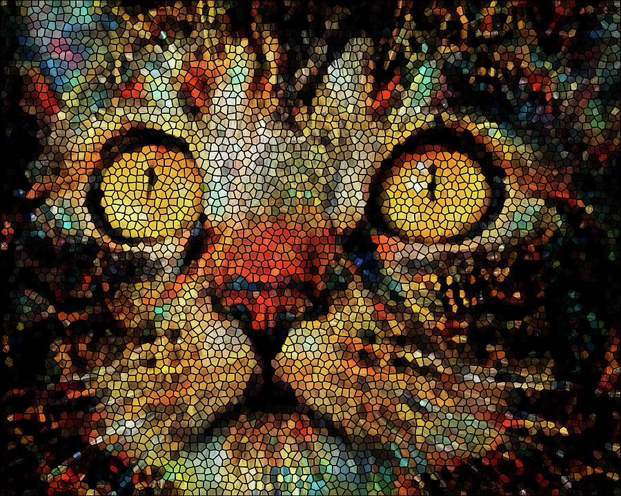 Tabby Cat Mosaic - Mister Big Eyes Digital Art by Peggy Collins