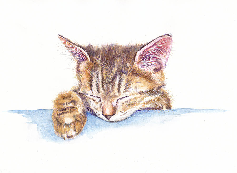 Tabby Kitten - Sleepy Head  Painting by Debra Hall