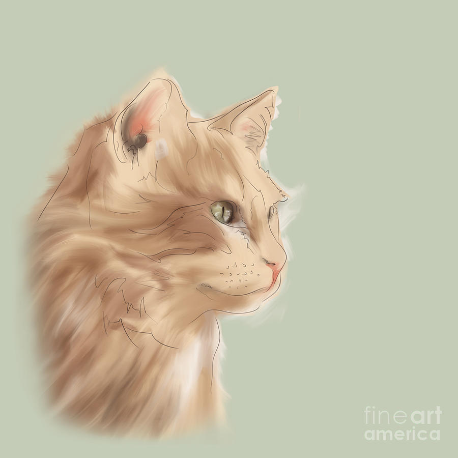 Tabby the Cat Digital Art by E Smi - Fine Art America