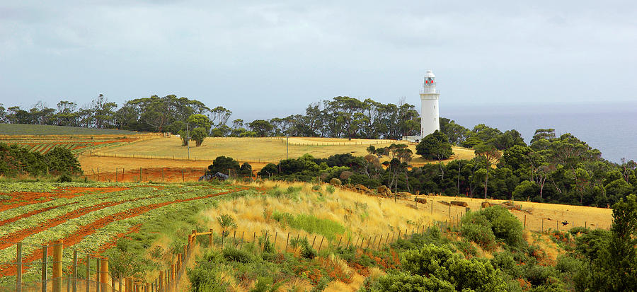Table Cape Lighthouse - Tasmania, Australia Photograph by Kenneth Lane Smith