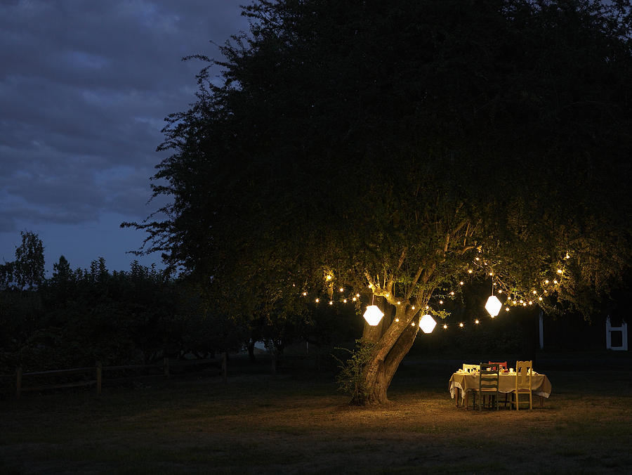 Table in yard illuminated by lanterns hanging on tree Photograph by Ryan McVay