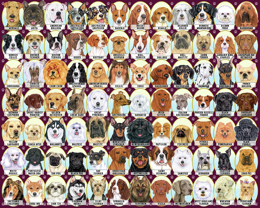 Animal Digital Art - Table of Dogs by Tomoyo Pitcher