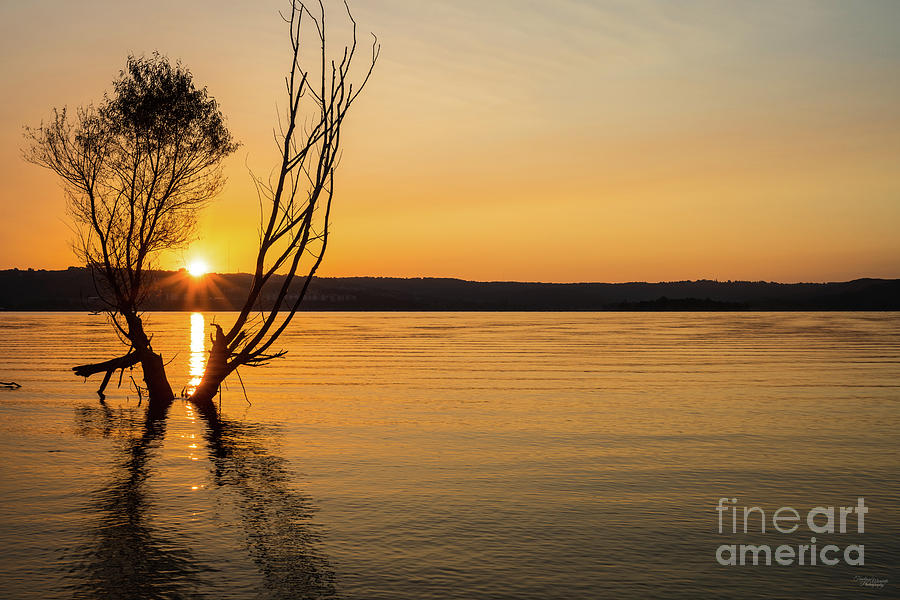 Table Rock Lake Silhouette Sunrise Photograph by Jennifer White