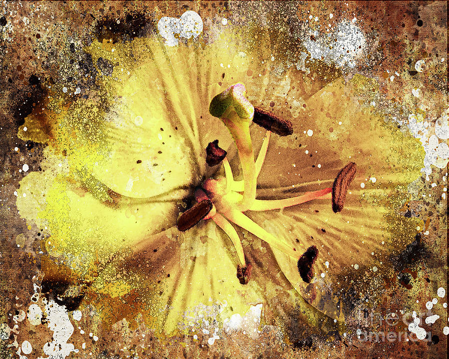 Table Tiger Lily - Yellow Digital Art by Anthony Ellis