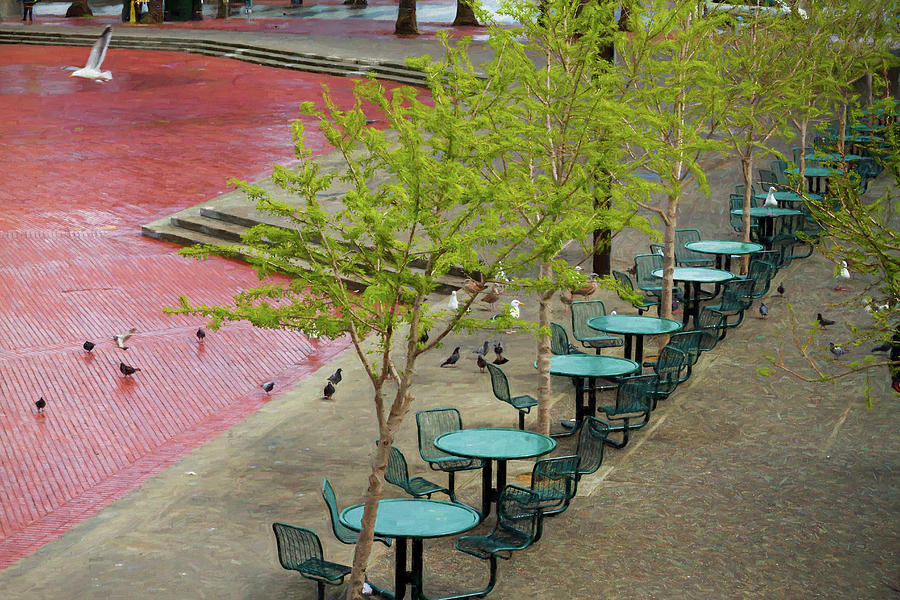 Tables And Gulls At Justin Herman Plaza Photograph