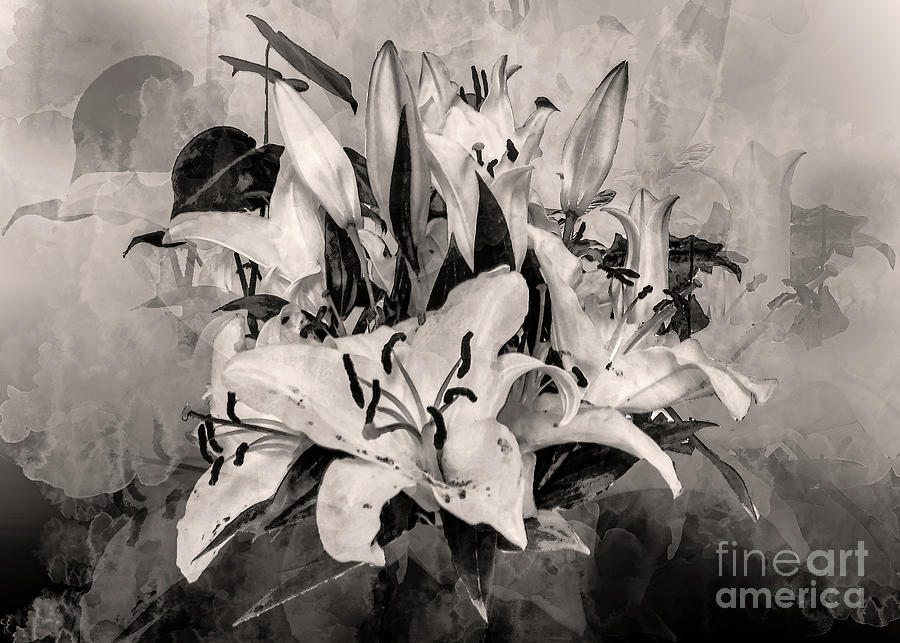 Tabletop Lilies - Monochrome Digital Art by Anthony Ellis