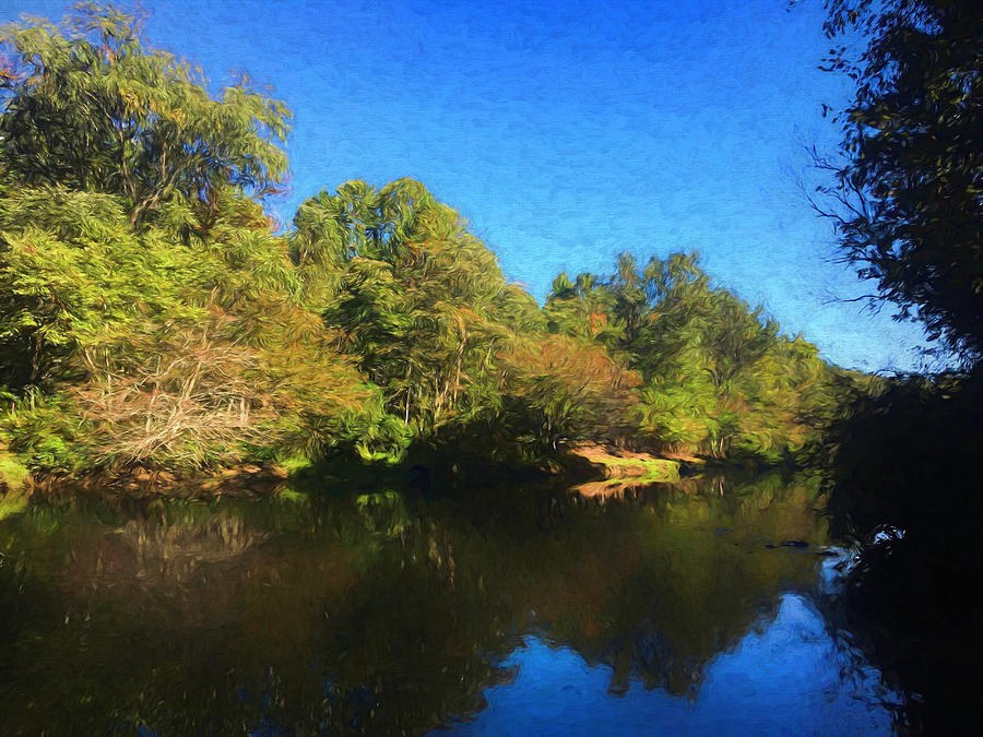 Taccoa River Autumn Digital Art