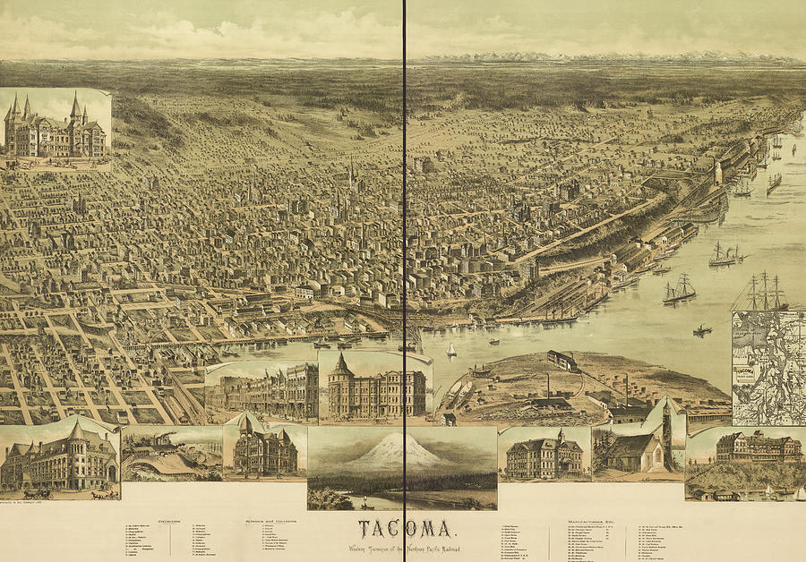 Map Drawing - Tacoma, Washington 1890 by Vintage Places